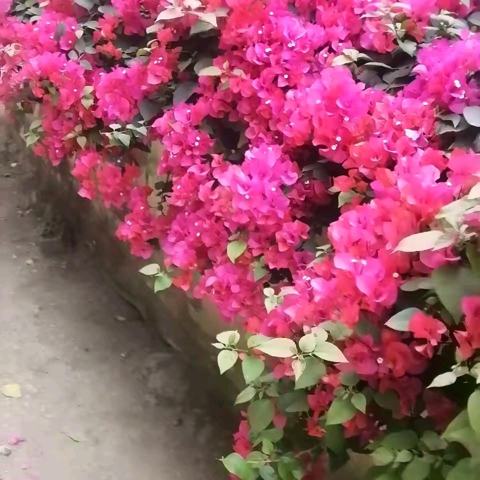 有你我才会幸福