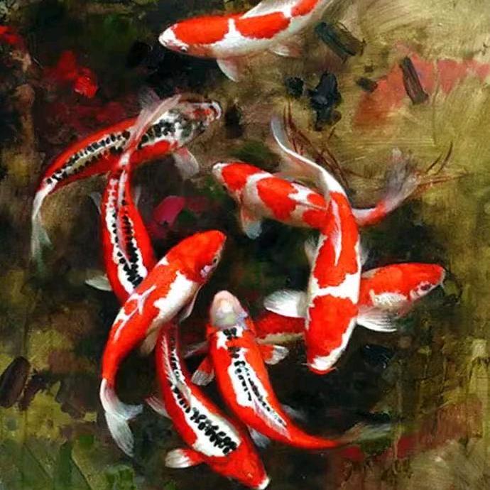 大姚春苗公司育苗基地