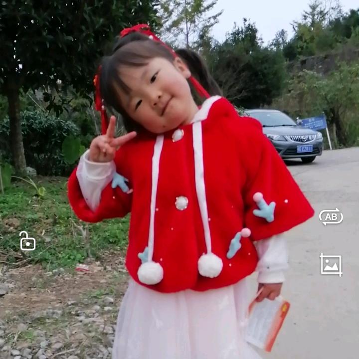 半疯半傻半痴呆