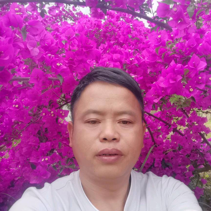 爱也欠费