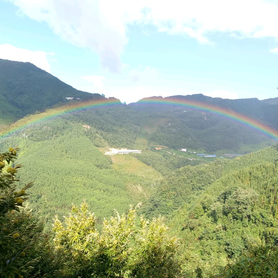 不明白
