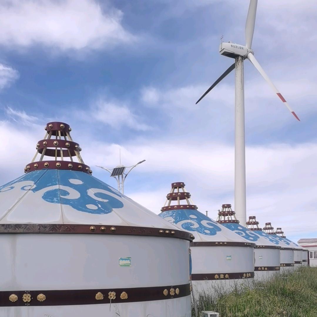 朴实的老张靠谱的司机