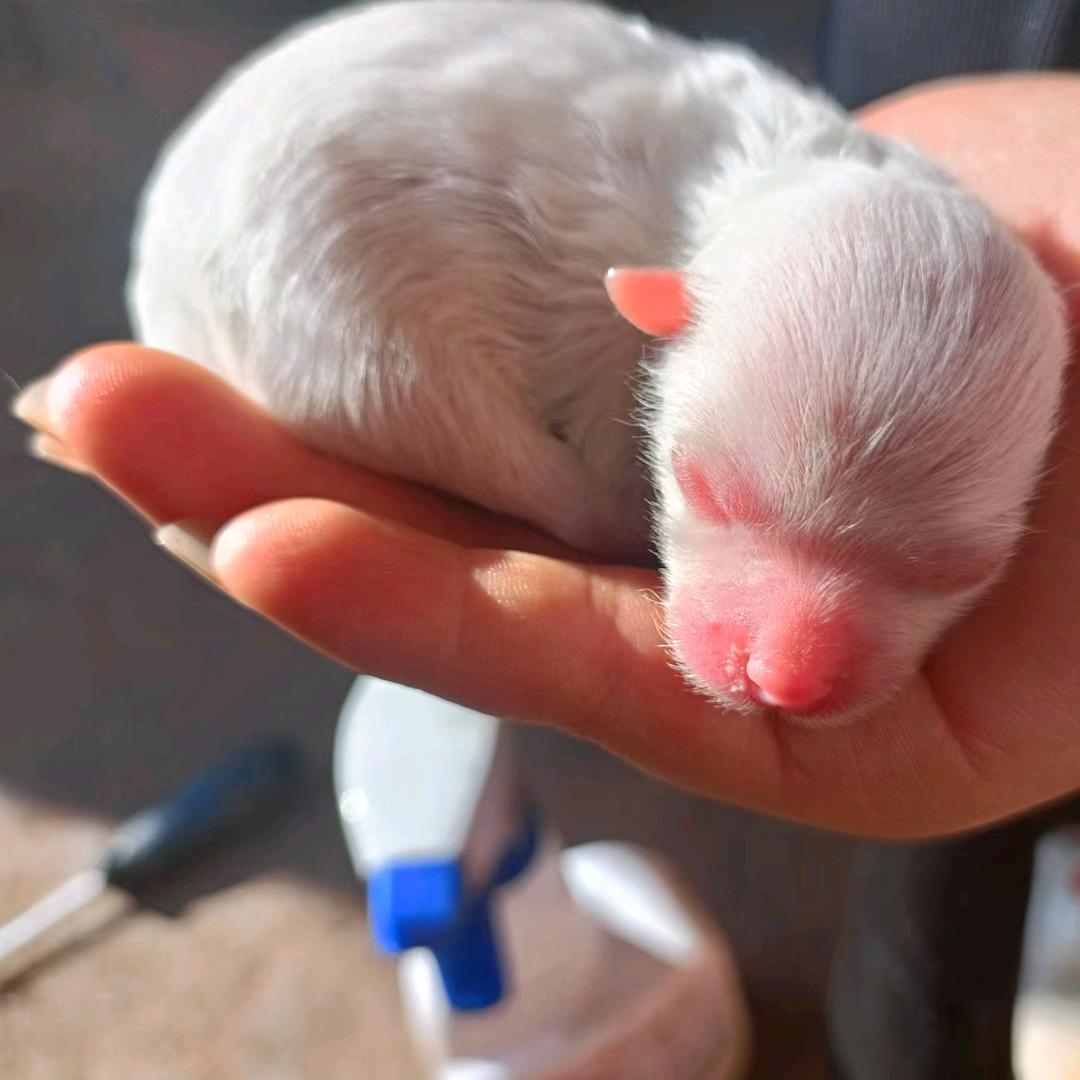 养生调理私人定制