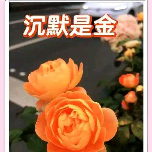 爱财爱已