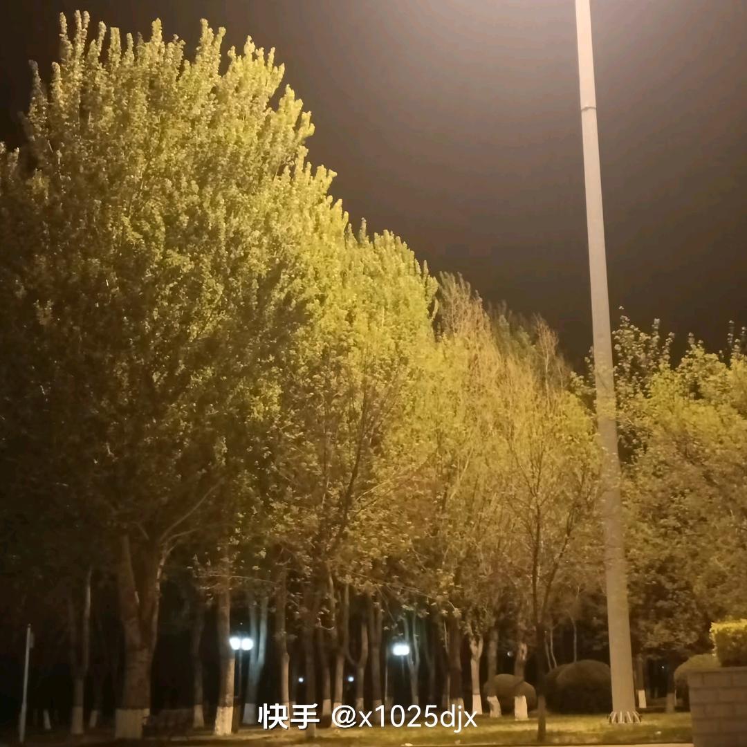 韩小雨