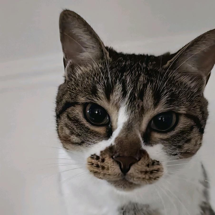 卷卷的幸福生活