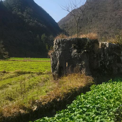 生哥耳机店