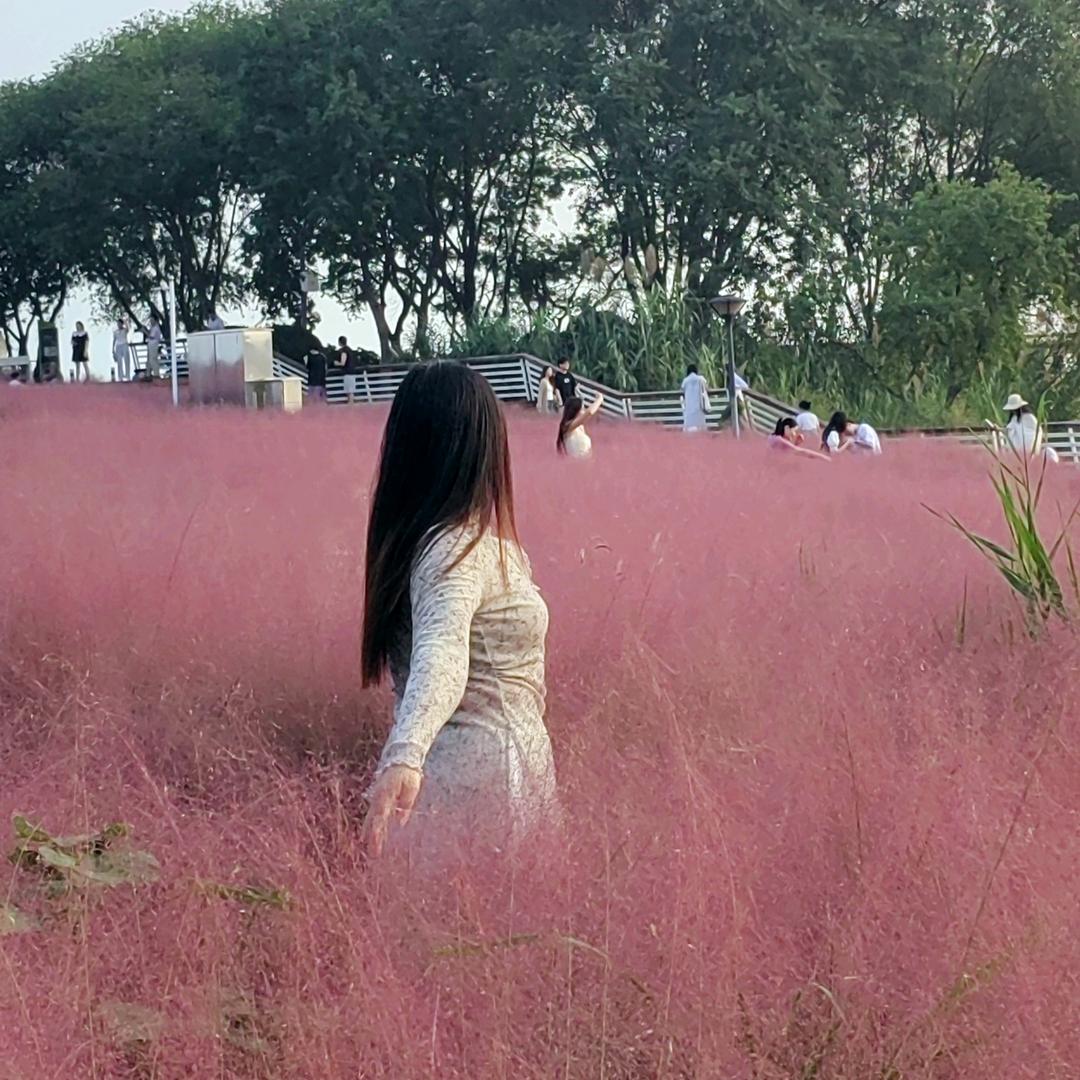 清秋