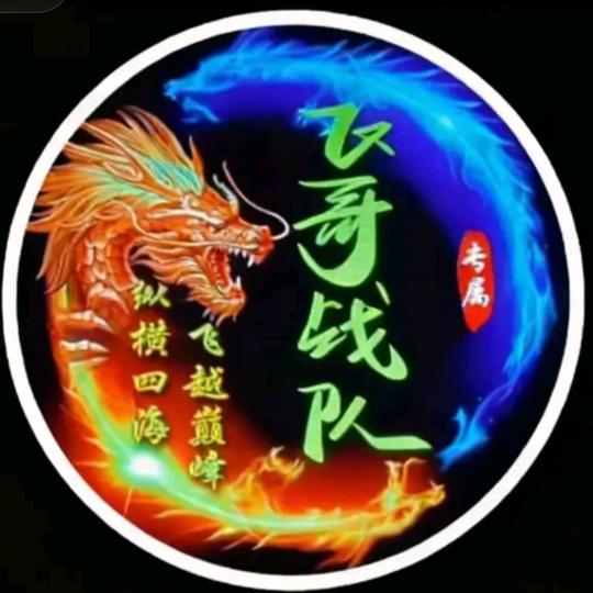 飞哥战队