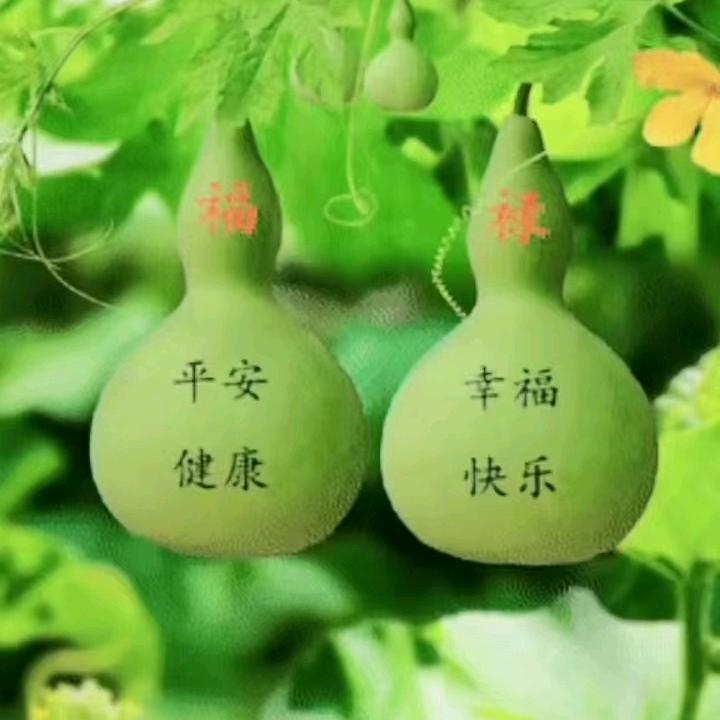 用户9534301143994
