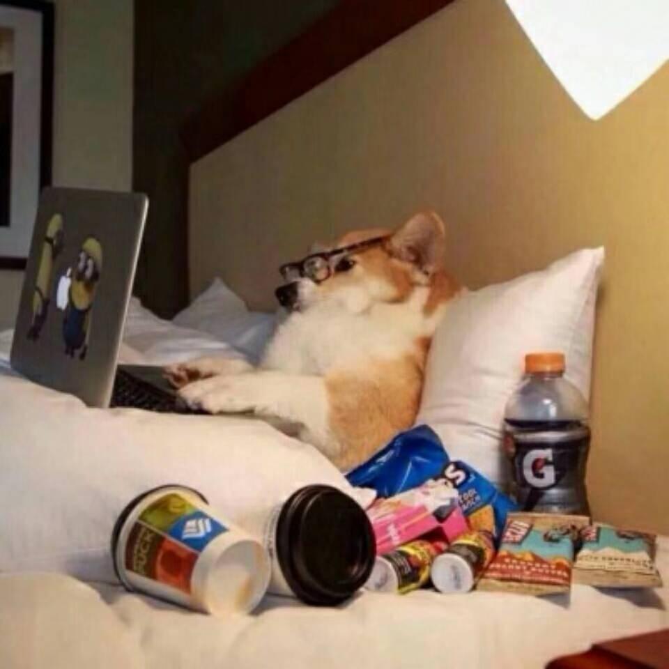 国服大白鲨 󰠇