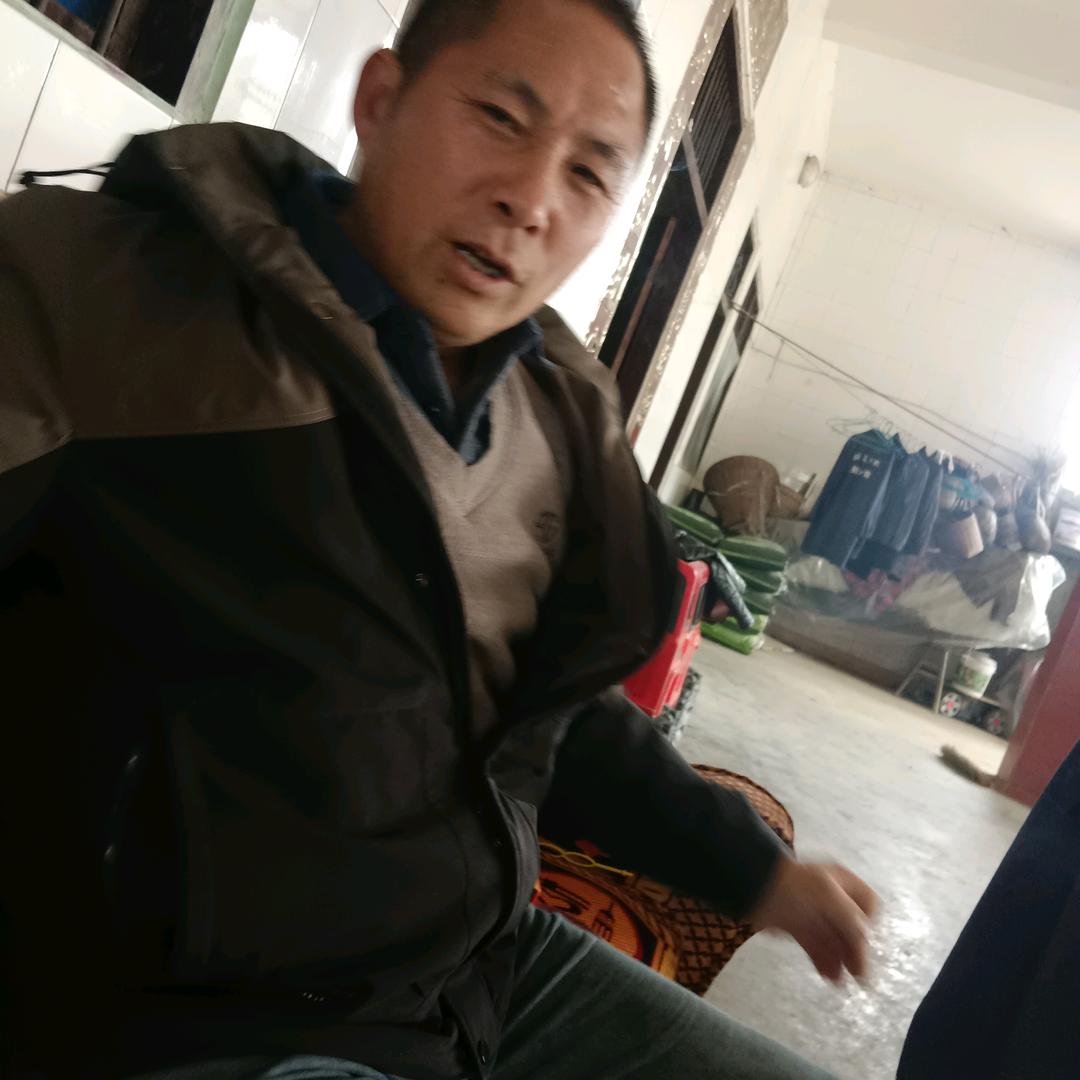花舞人间