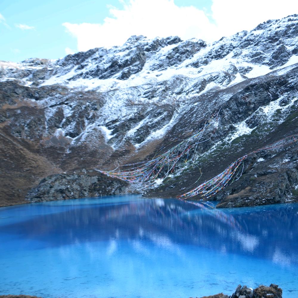 𓆡𓆝扶摇‧₊˚✧