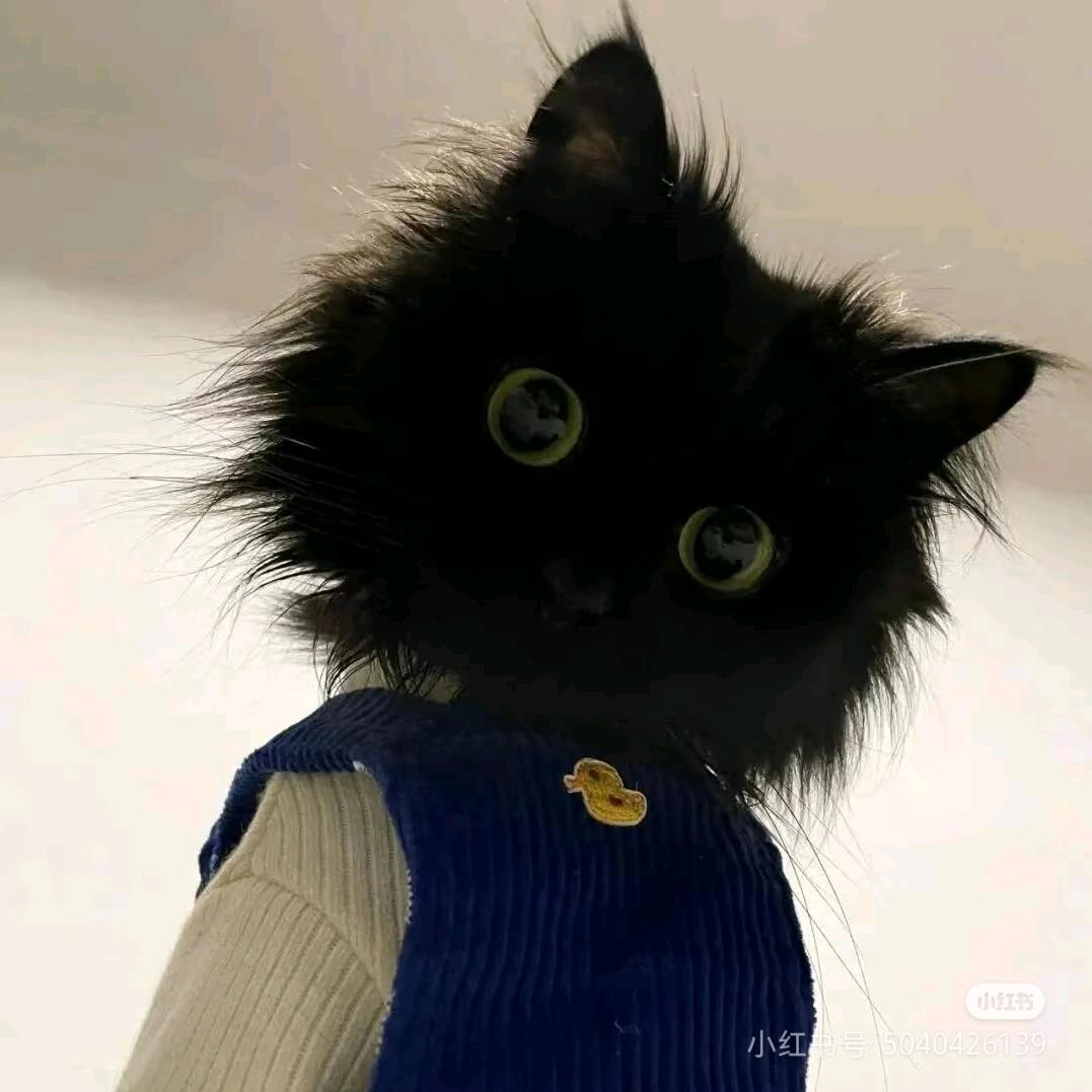 派派派派大星～