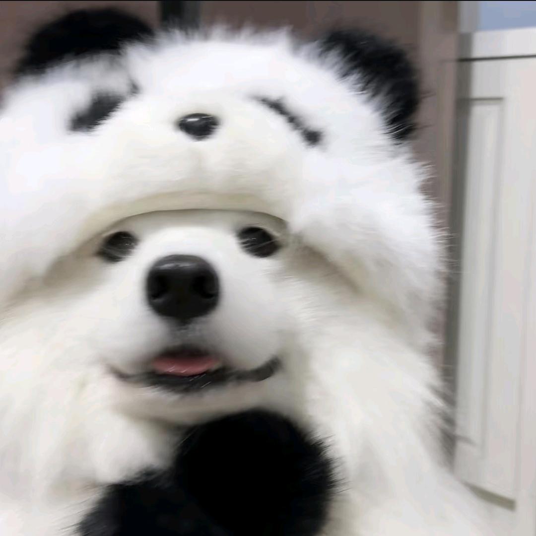 林林（见过妮妮版）