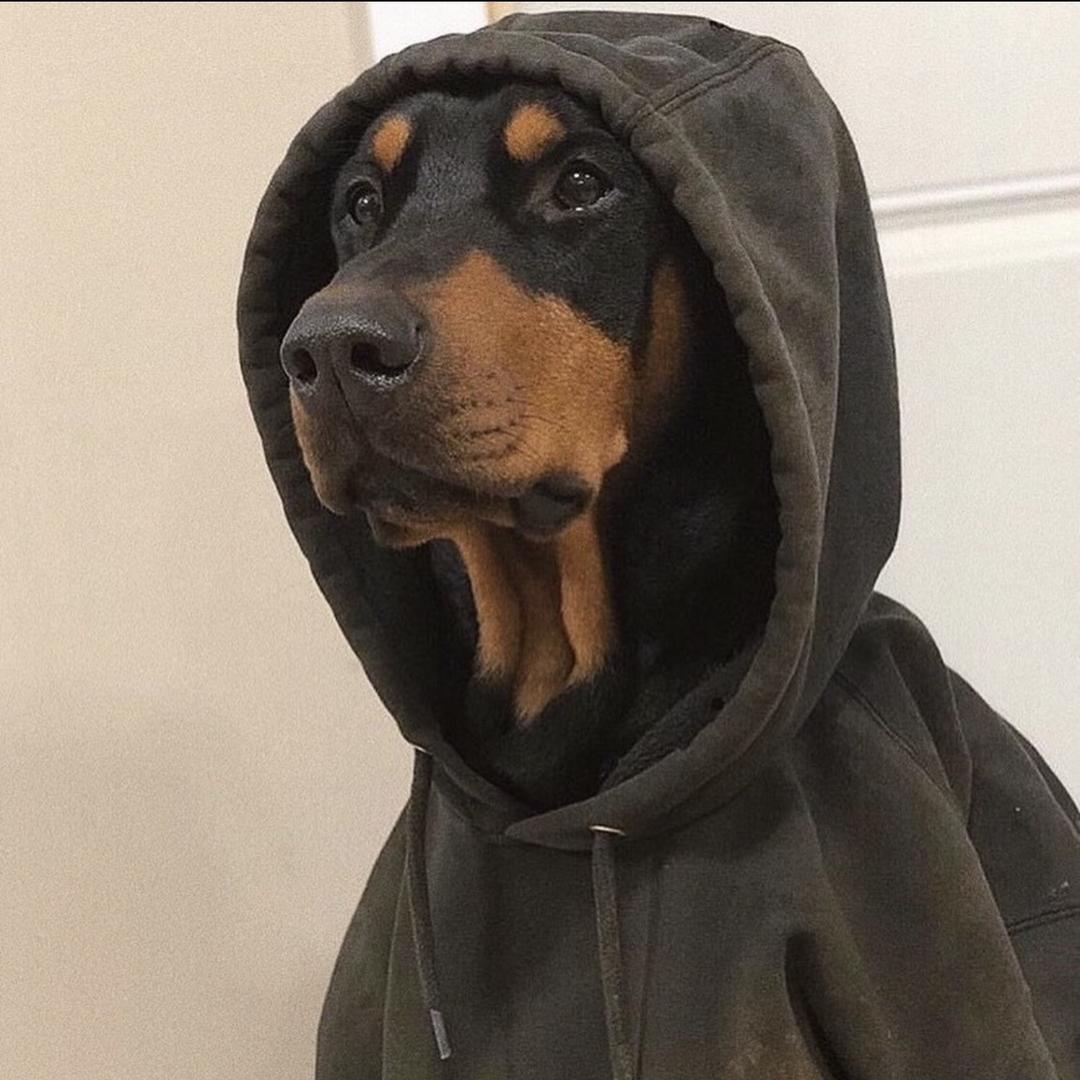思辰