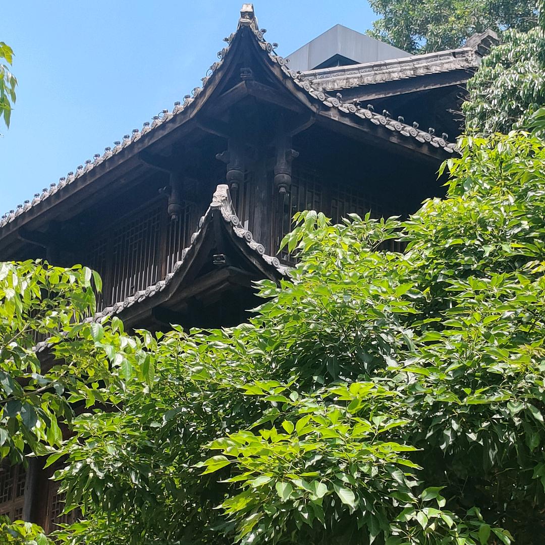 长江水--江