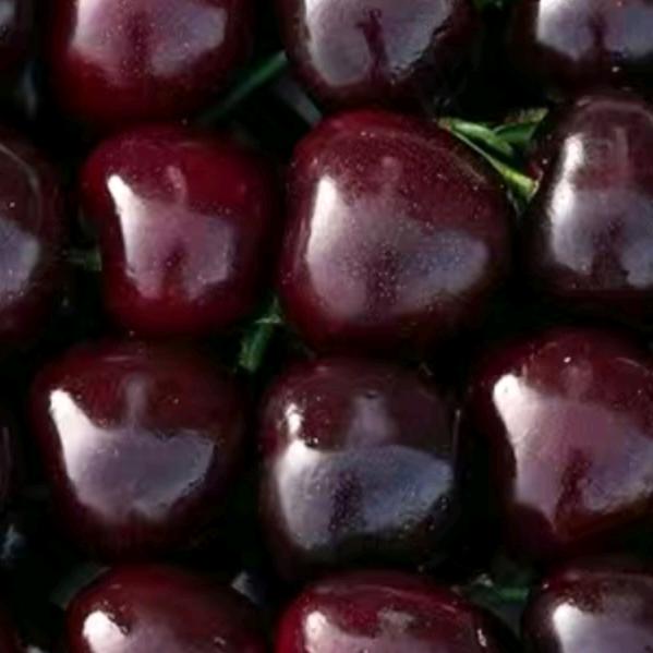 黑樱桃