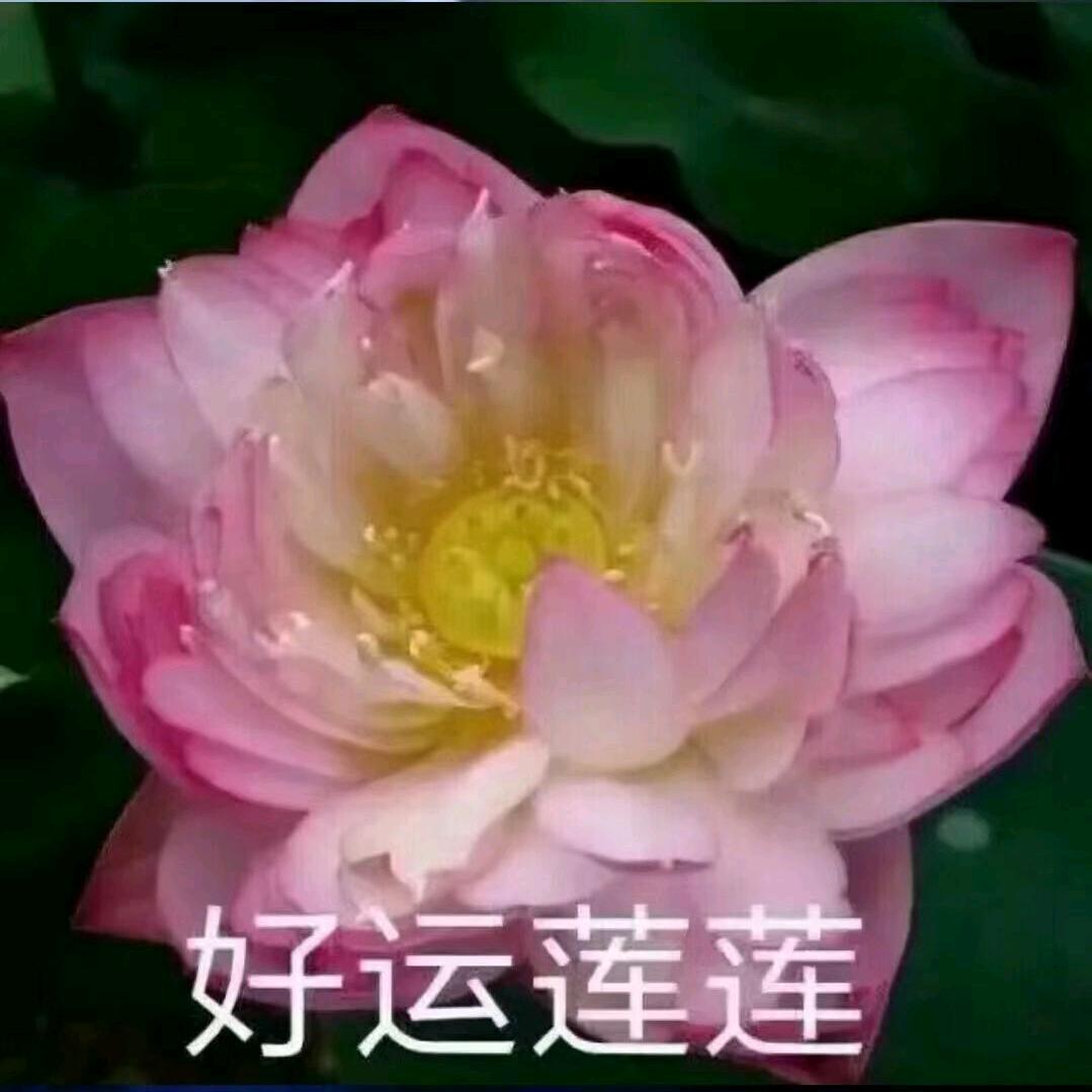 2015998579幸福