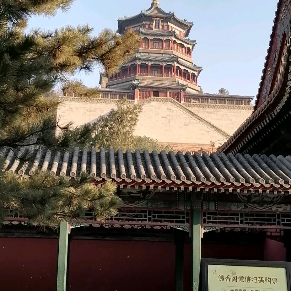 琴声