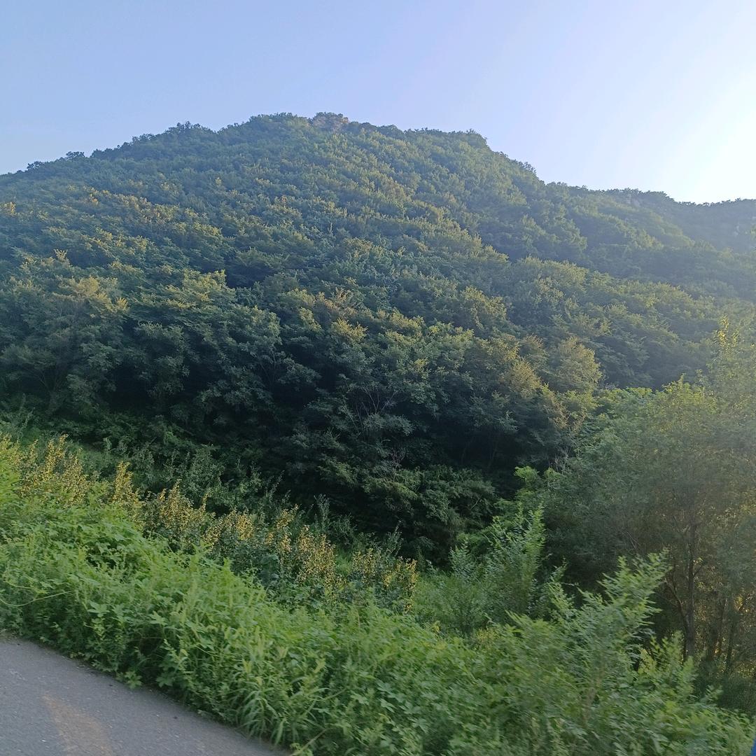 沿途风景