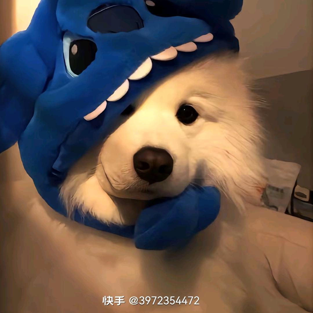 蒸蒸日上