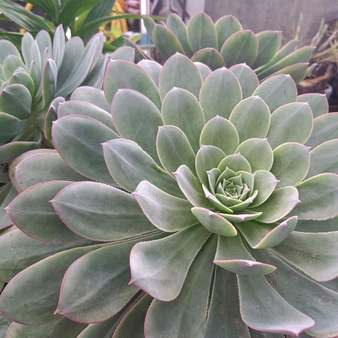 𝛇𝓬𝓥𝓮悲꯭欢💔⃟自度