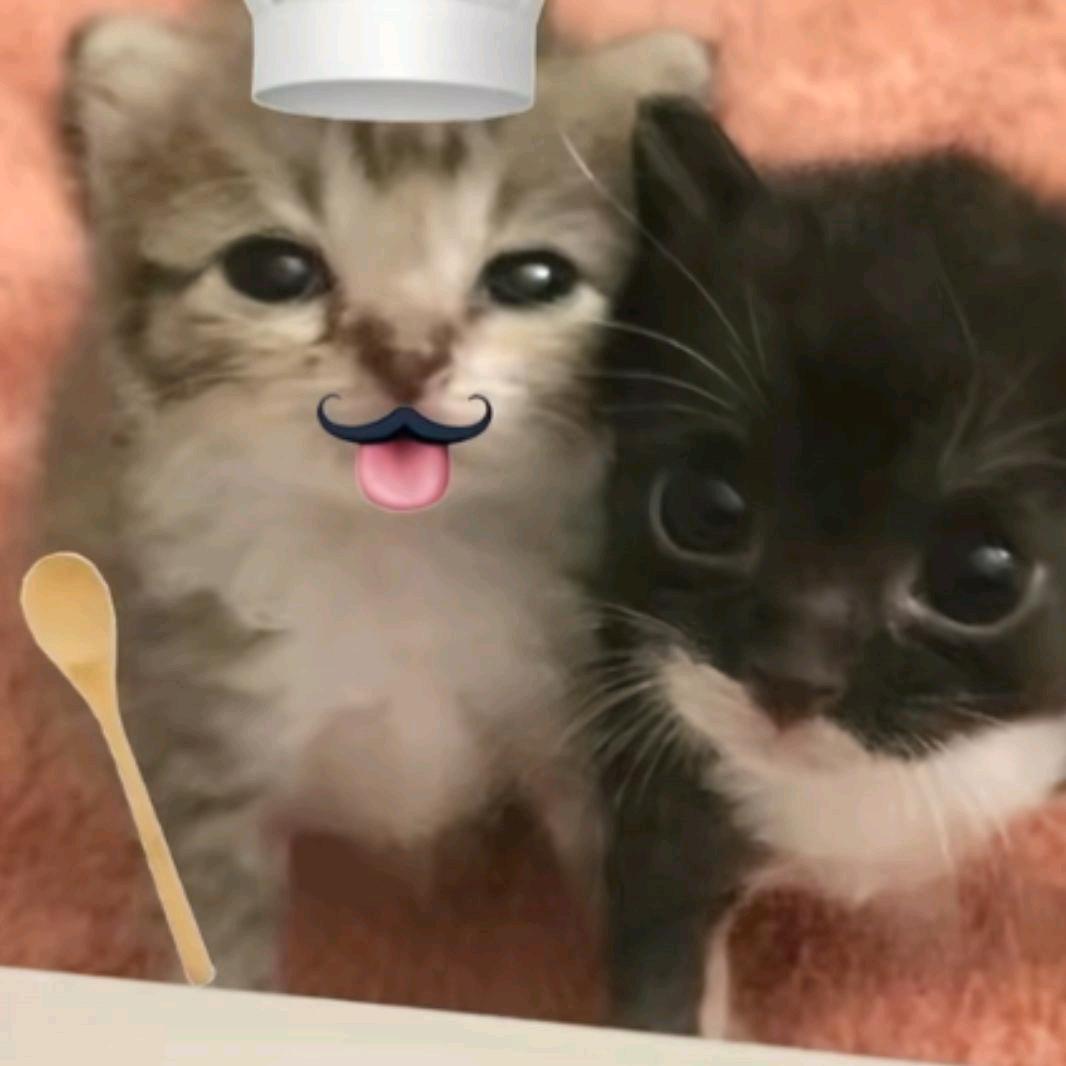 小小