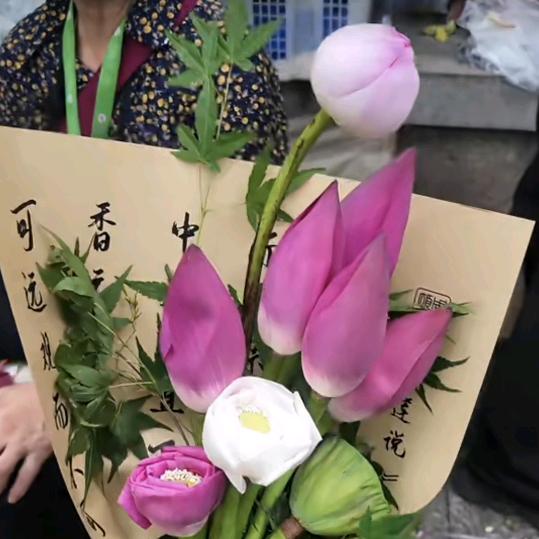荷在