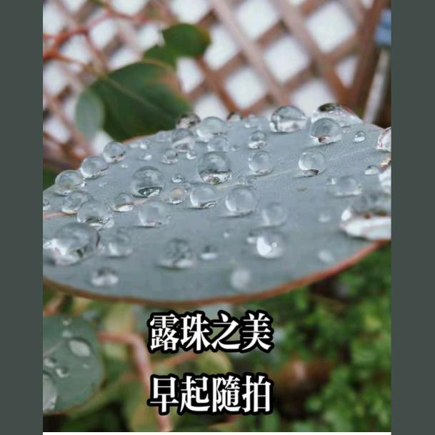 修手机的晶晶（拒私聊）
