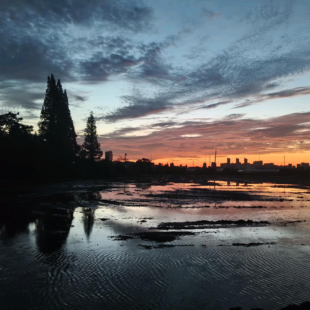 moonlight（月光）