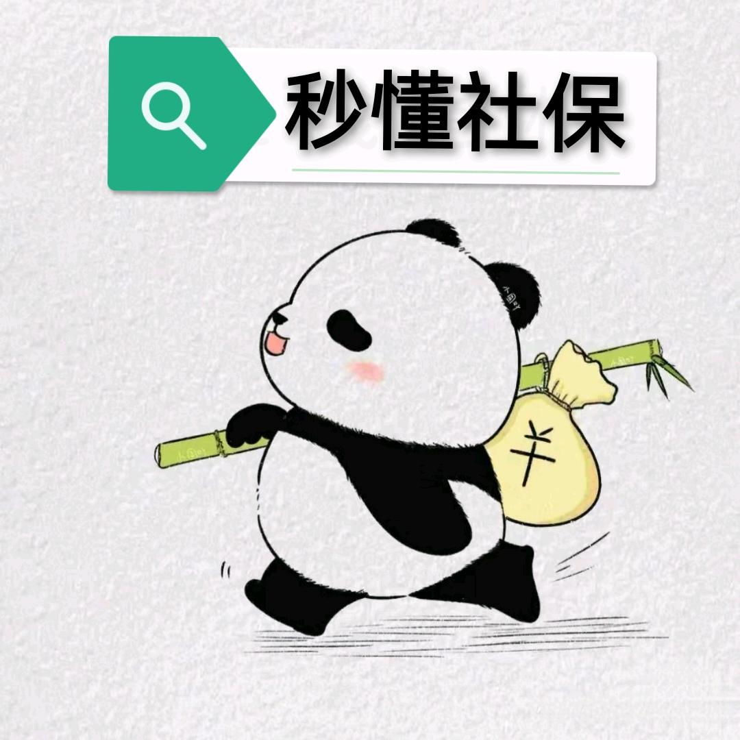 秒懂社保