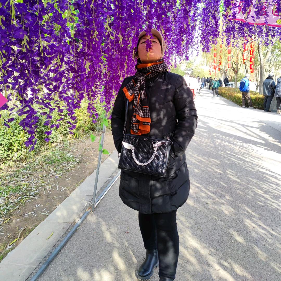 转运珠（橱窗有好物）