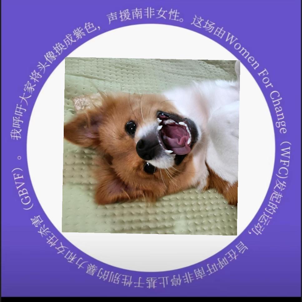 于你共进退