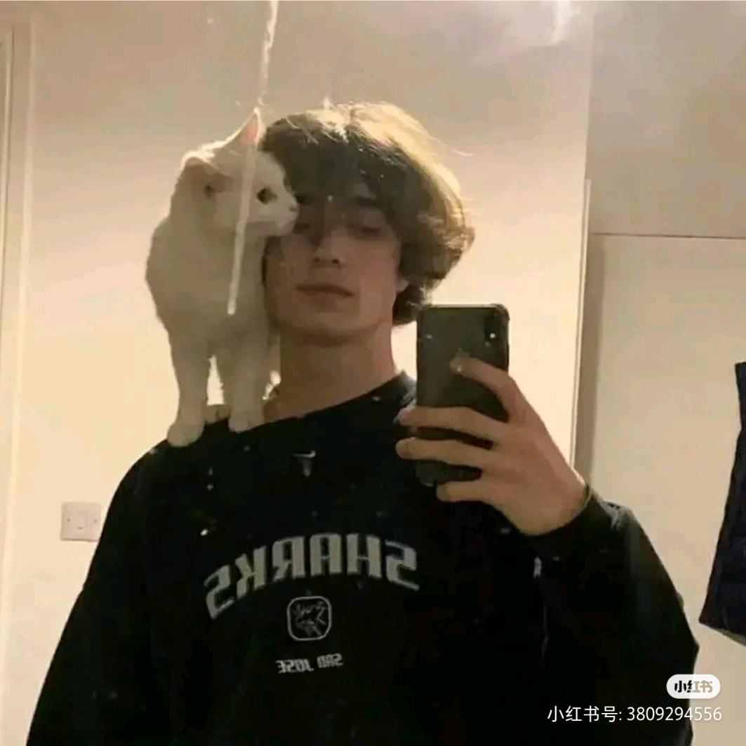 lzzz
