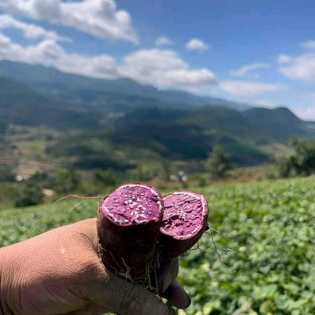 建水熙选农产优品小铺