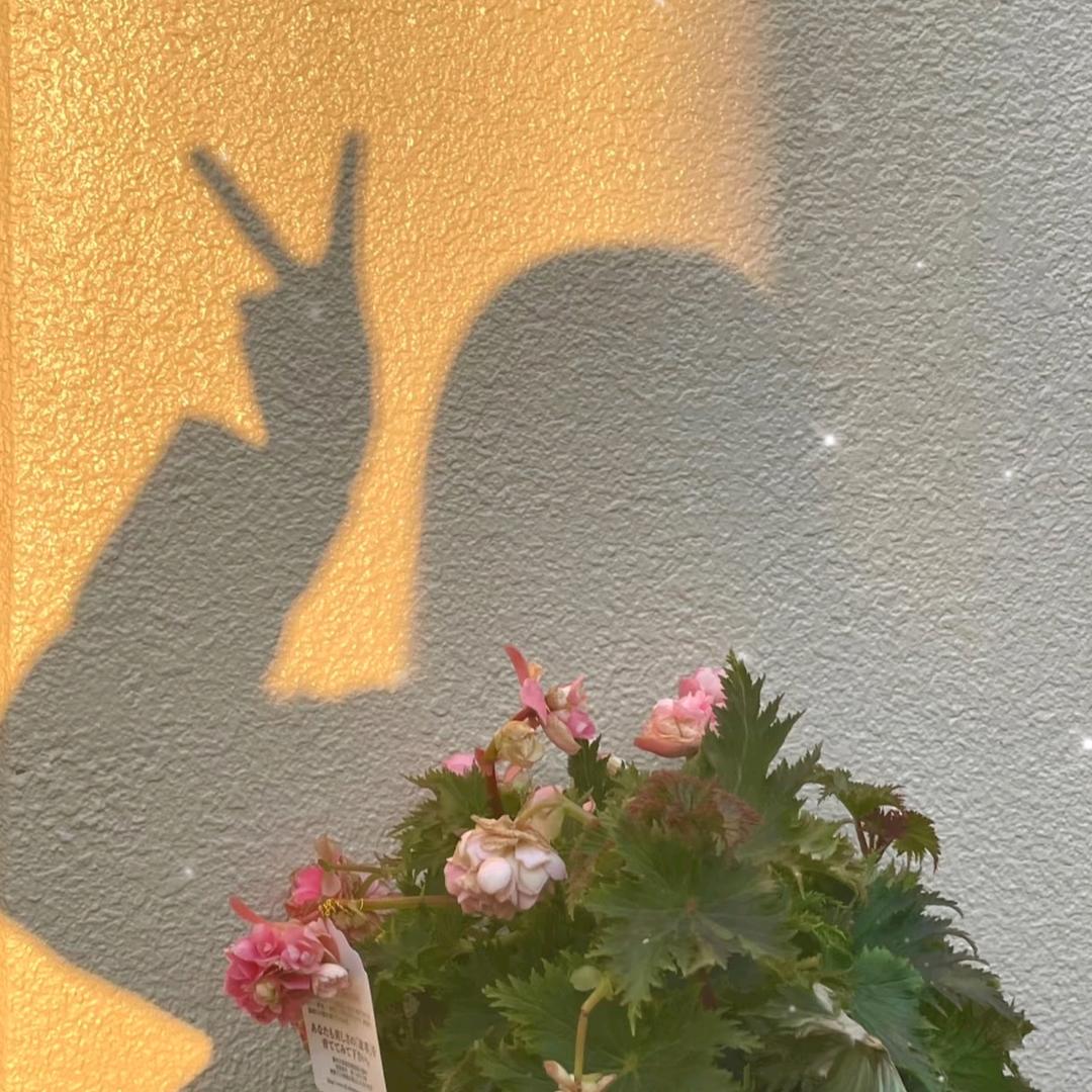 不吃香菜超爱辣