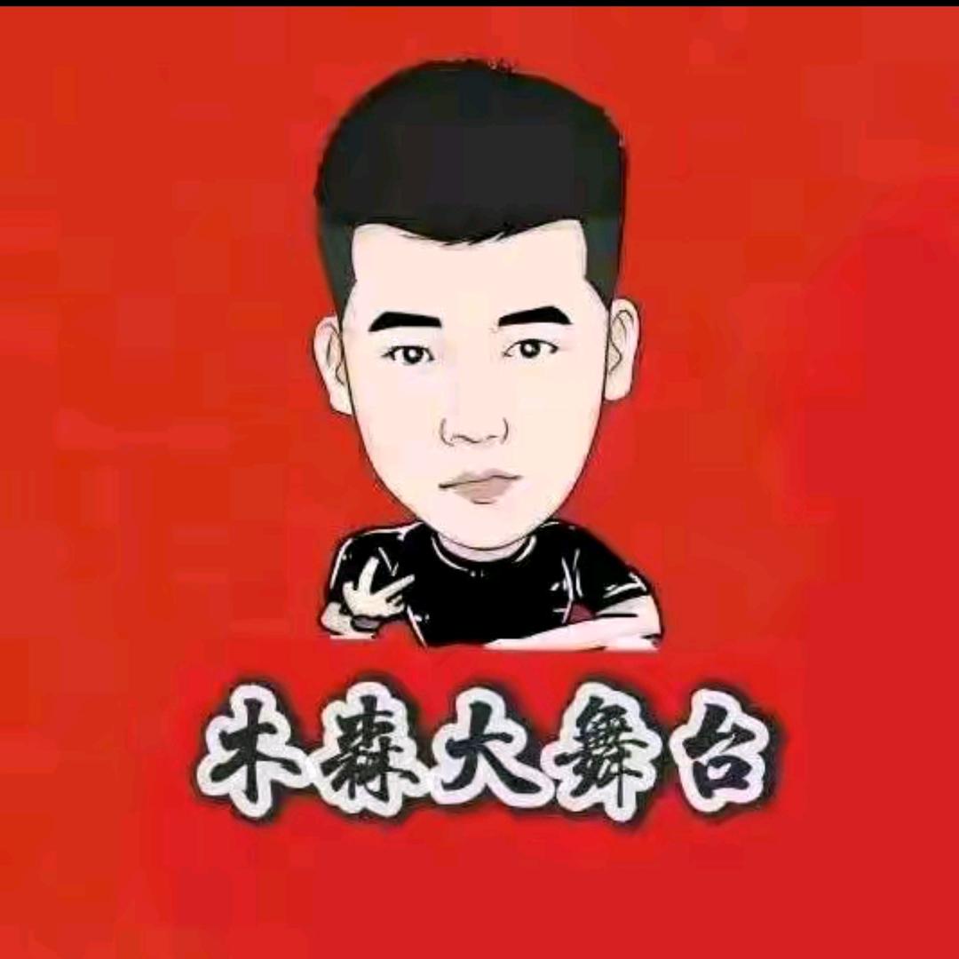 木森（再创佳绩）