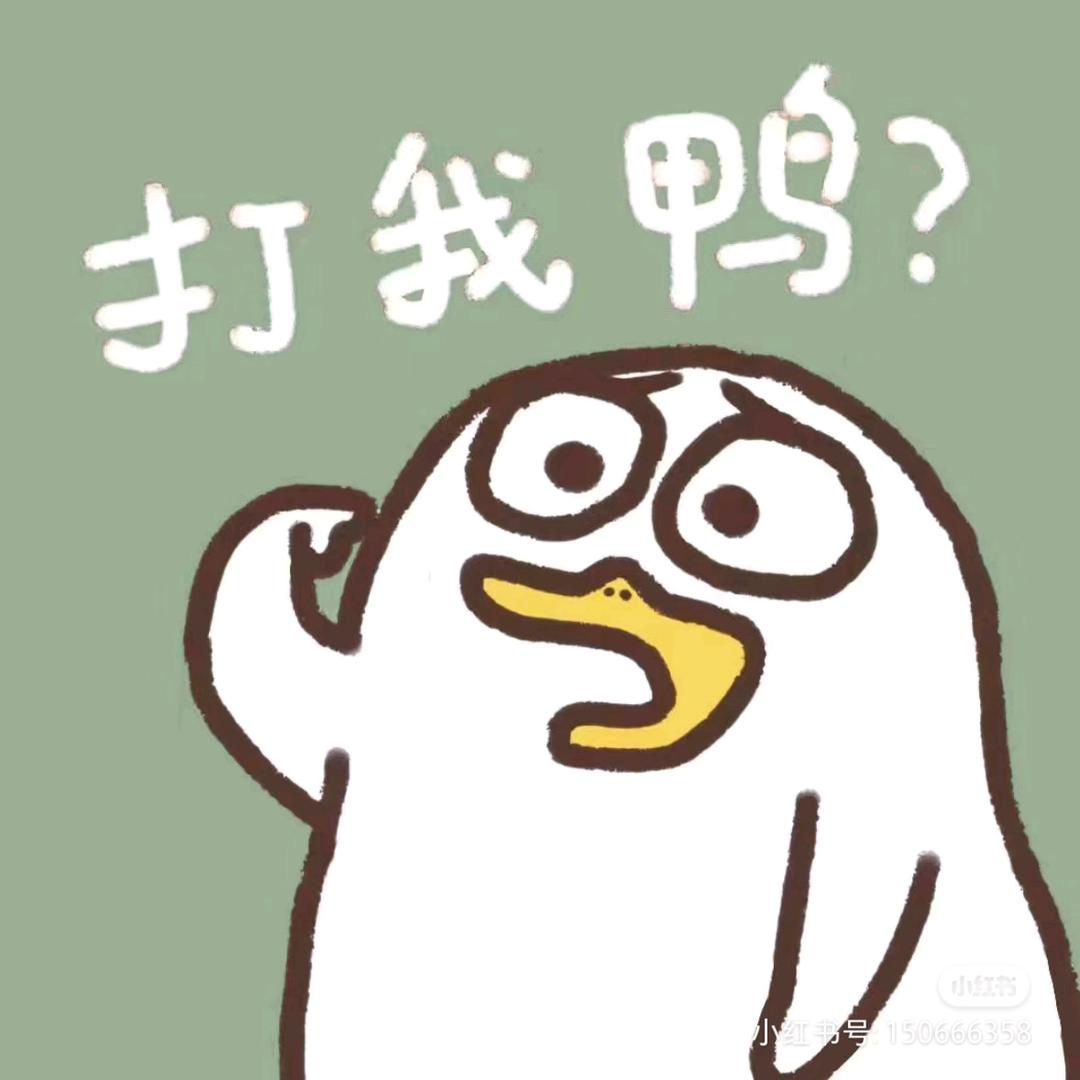 小牛鸭