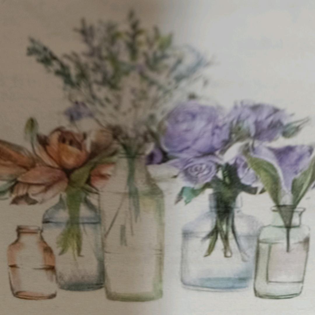 森林雅舍正品保证