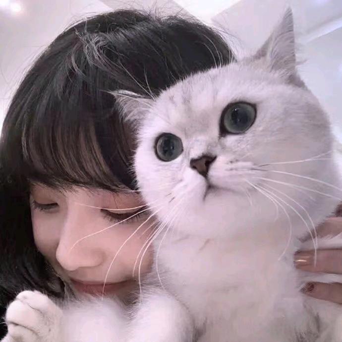 静…