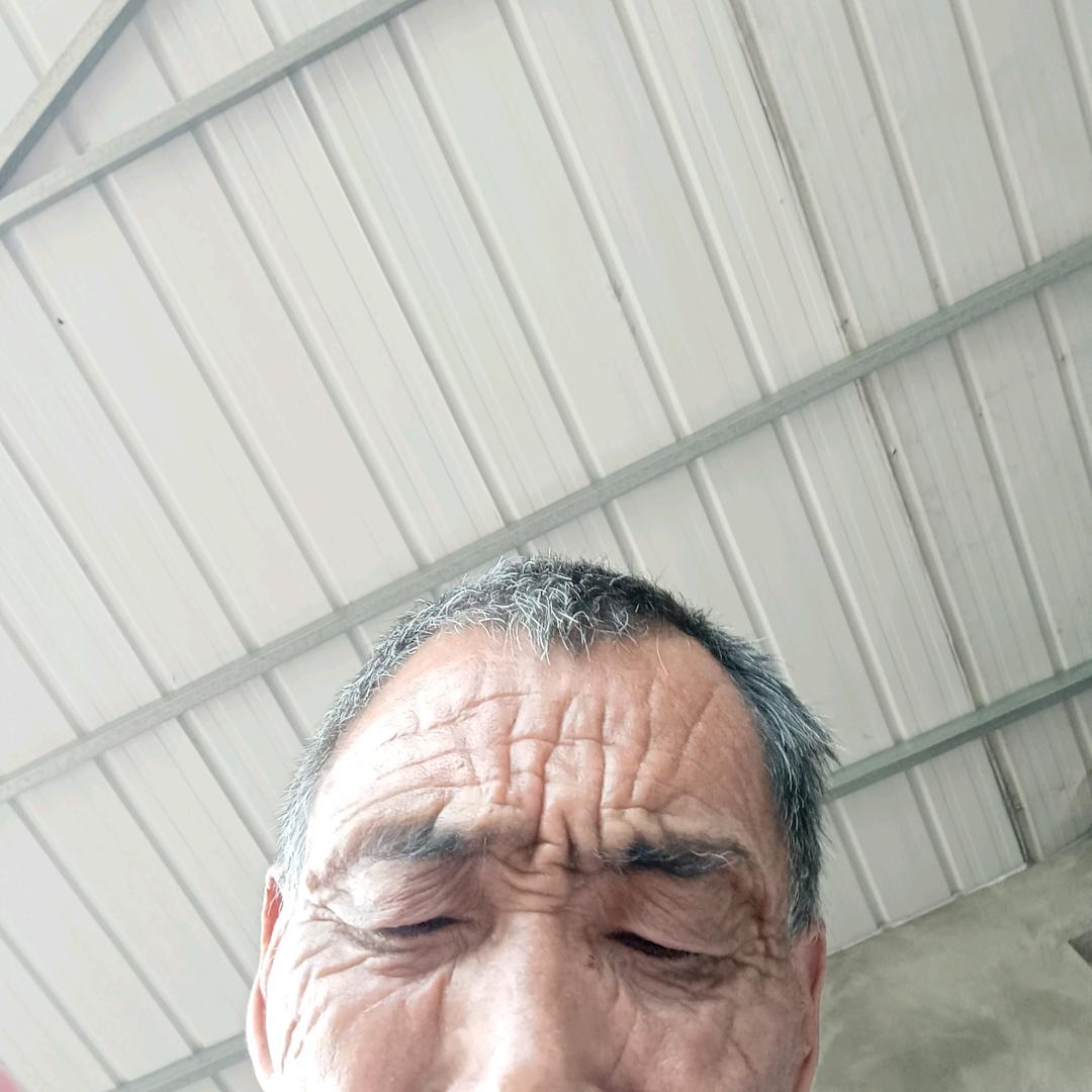 李维全