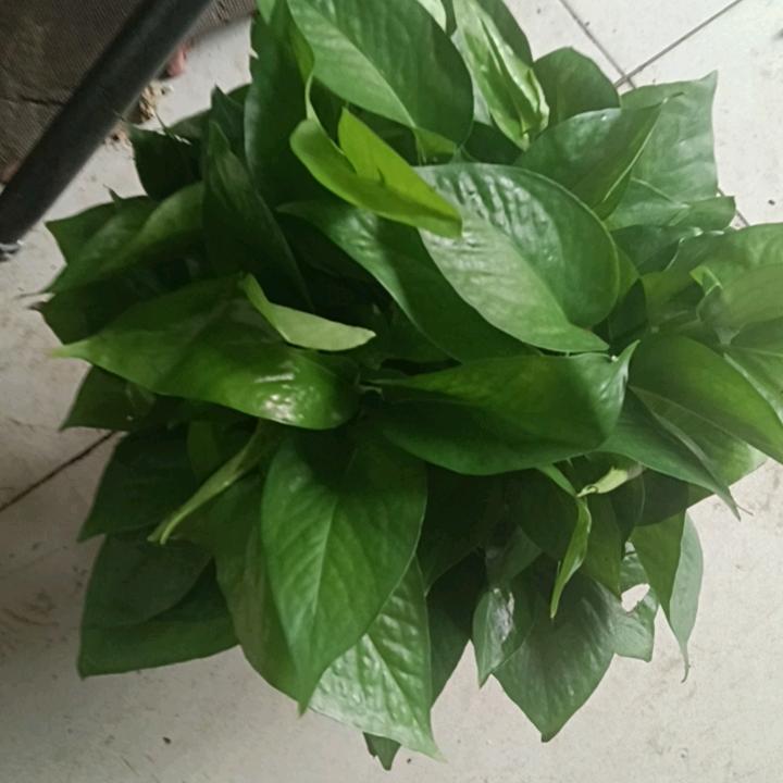 岁月静好！！