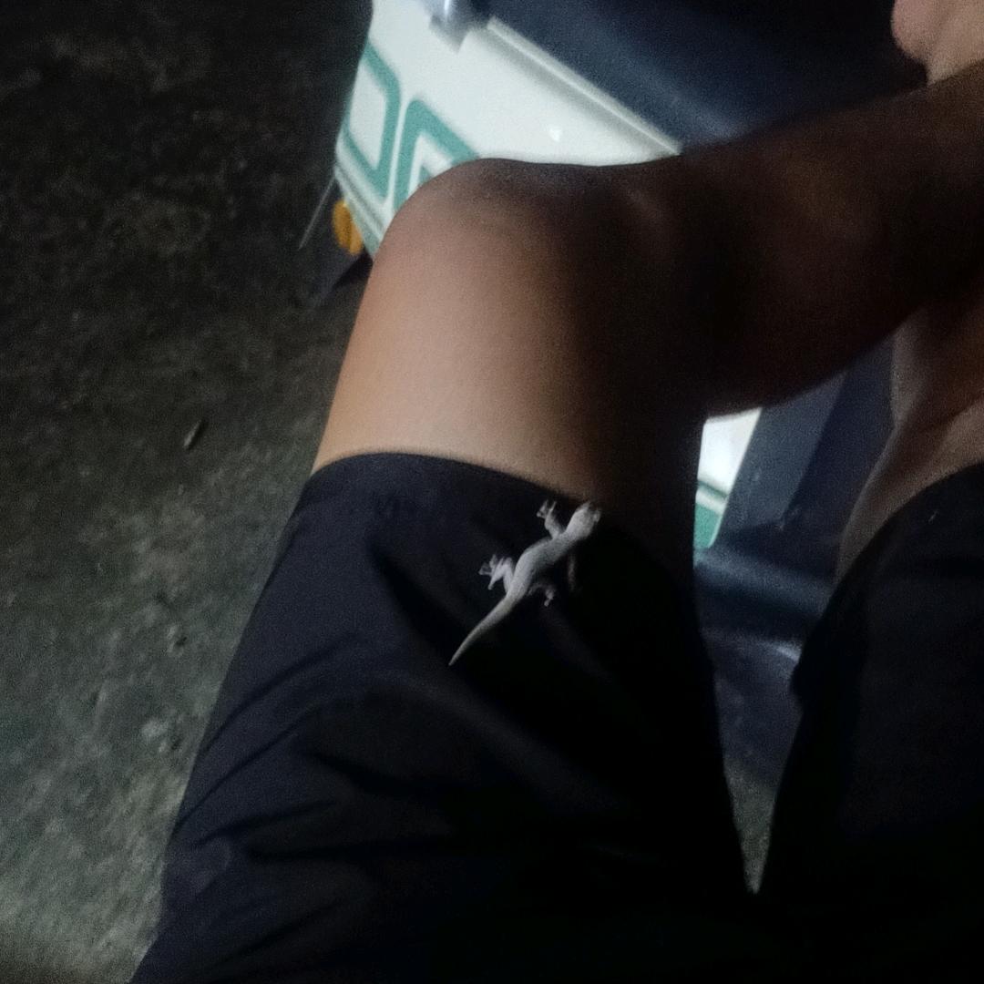 粽子