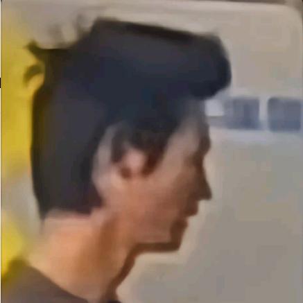 那刘宝也鸟裤