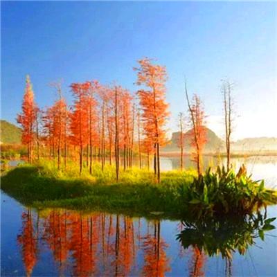 💞ღ᭄不在期待💕꧔ꦿ