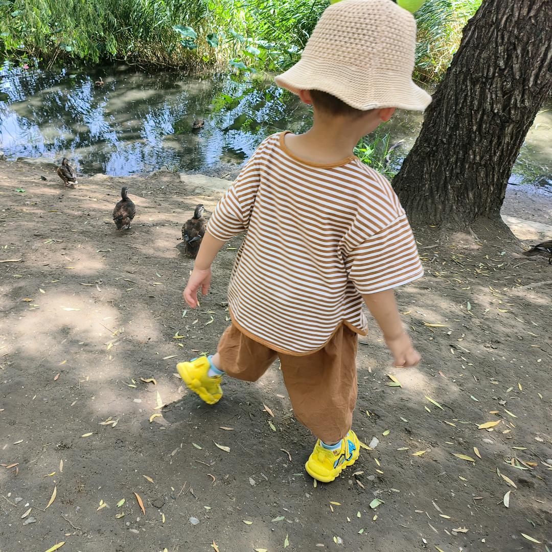 向日葵的微笑只属于太阳