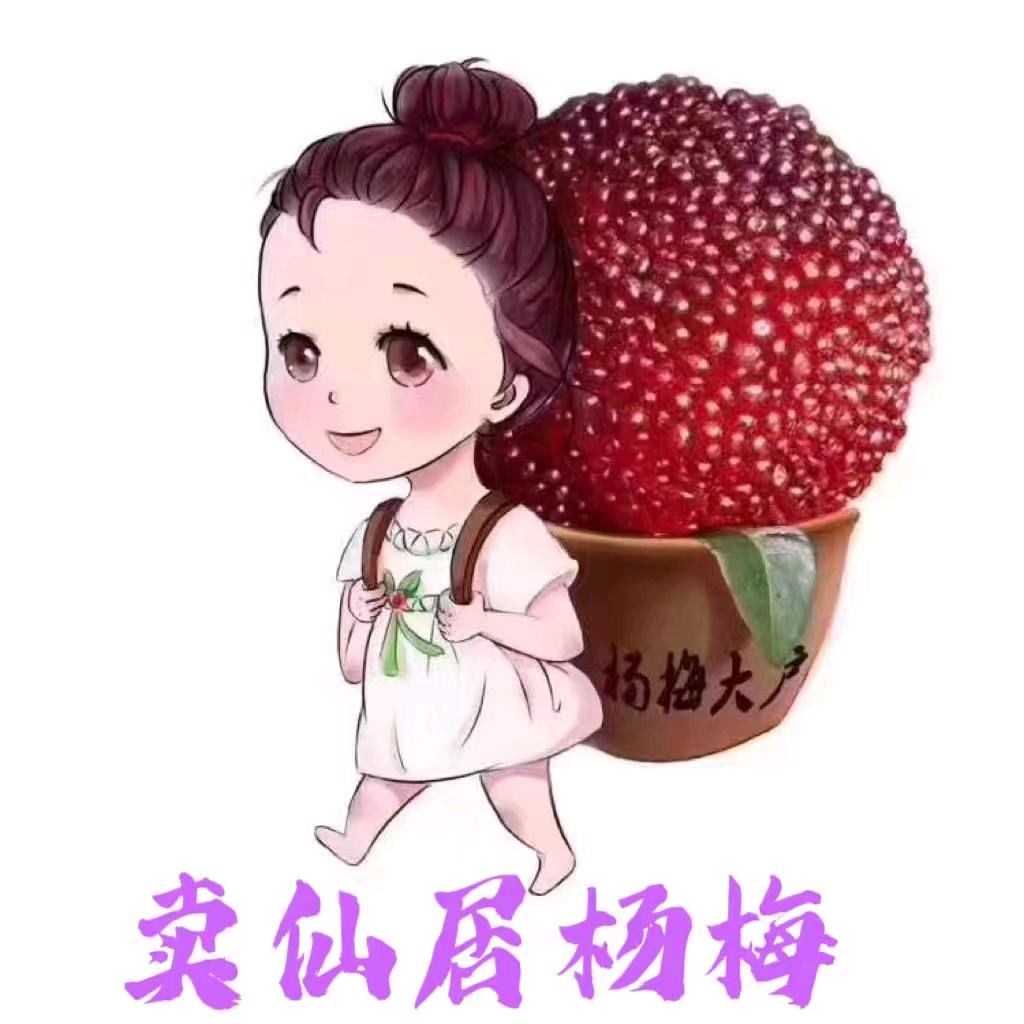 仙居大园杨梅