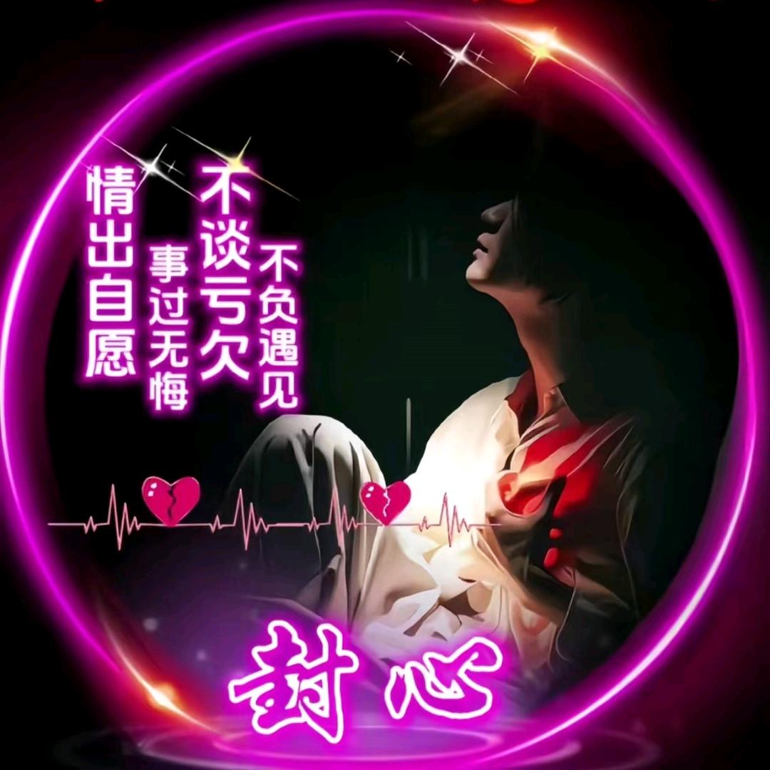 从此封心不再爱
