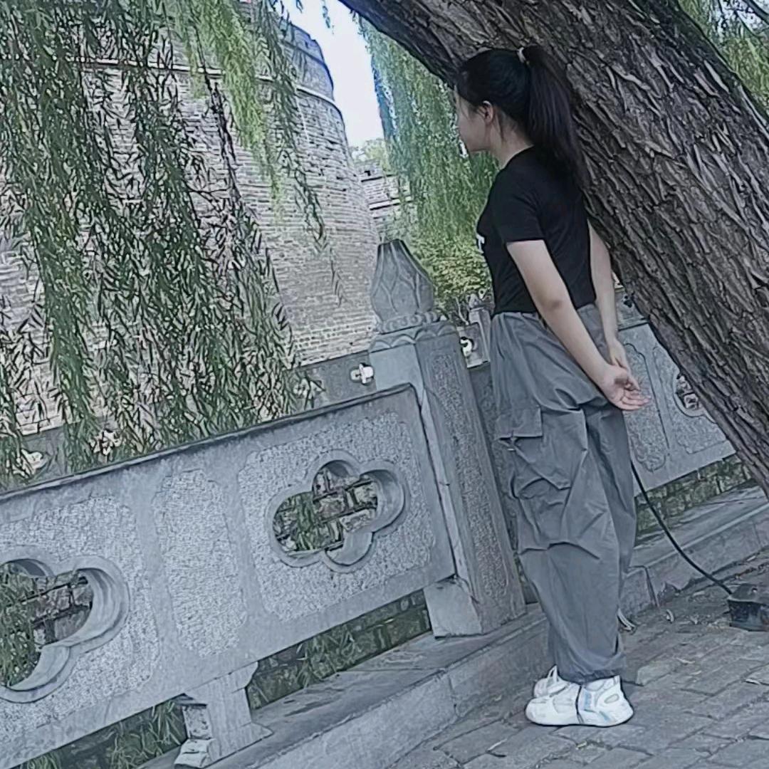 繁华事散逐香尘